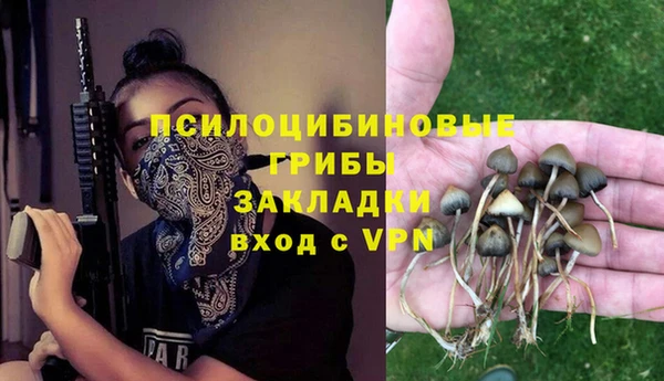 дмт Алзамай