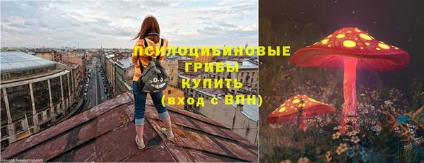 дмт Алзамай