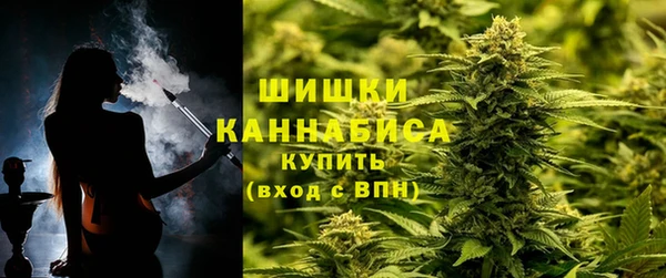 дмт Алзамай