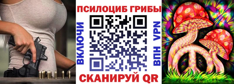 Псилоцибиновые грибы мицелий  Бакал 