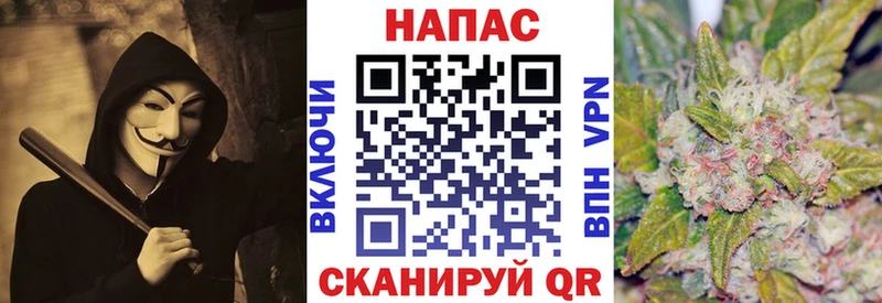 Каннабис Amnesia  Бакал 